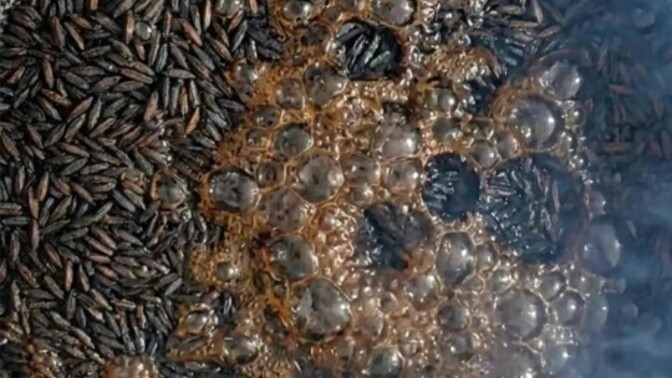 Arpa şehriyeli pirinç pilavı seven var mı, siz nasıl yapıyorsunuz?